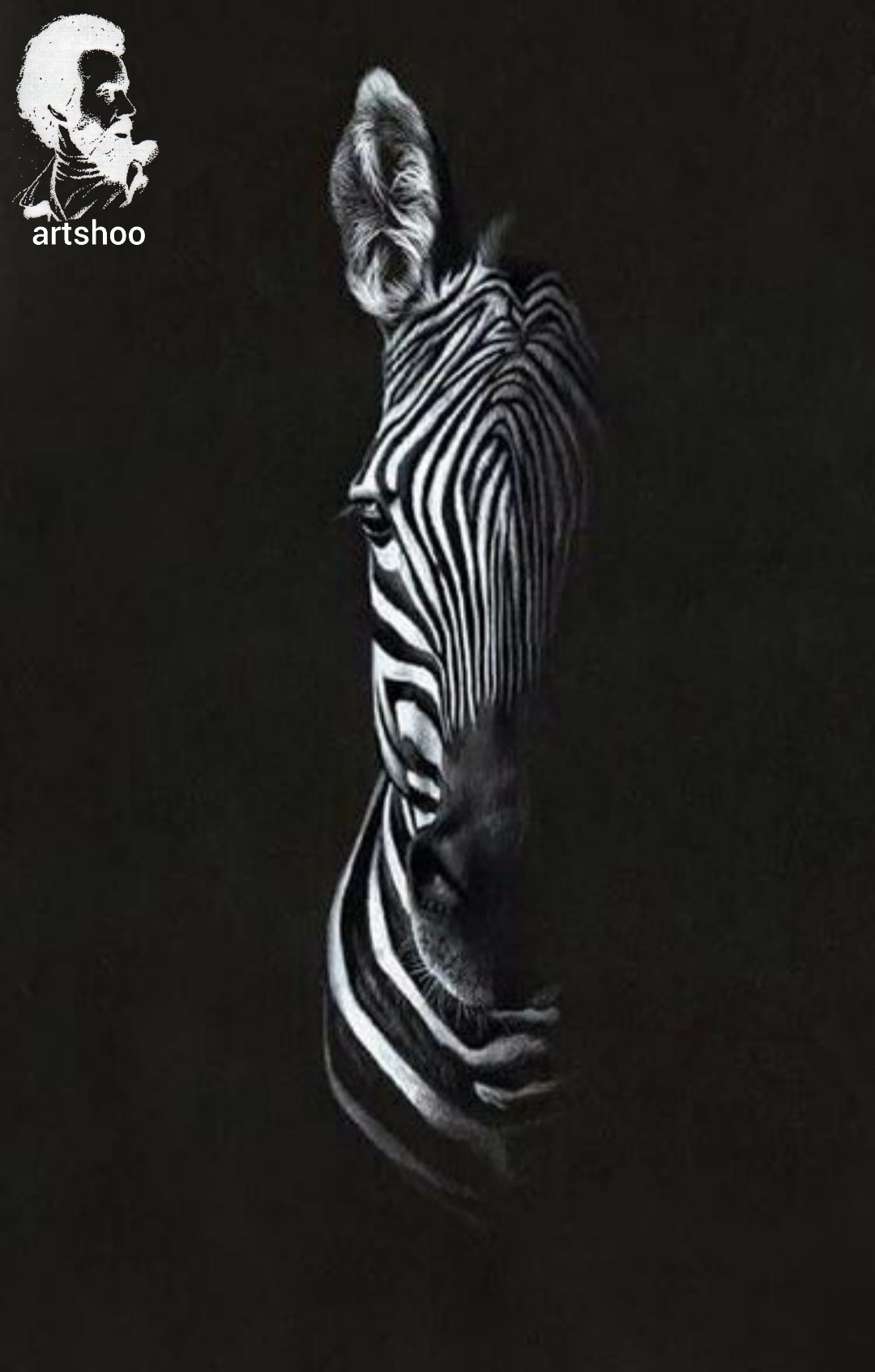 سیاه قلم مدل مداد سفید